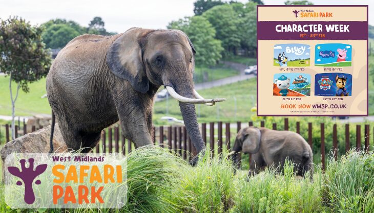 West Midlands Safari Park (WMSP) character week competition