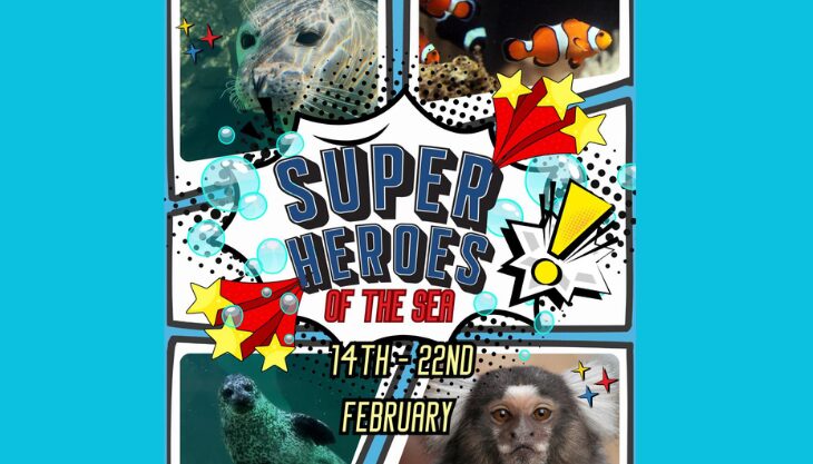 Superheroes of the Seas, Tynemouth Aquarium