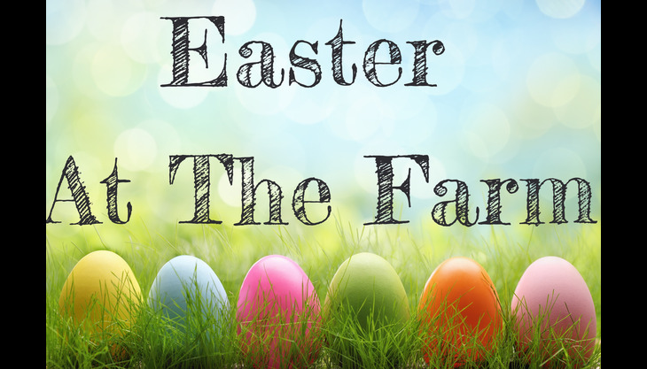 Easter Fun on the Farm!