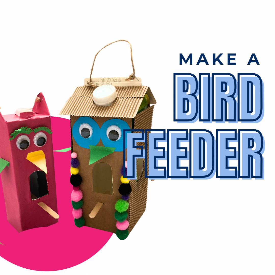 Make A Bird Feeder
