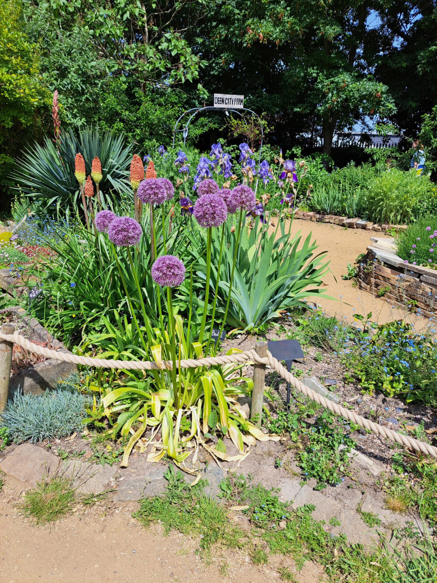 National Garden Wildlife Week at Deen City Farm