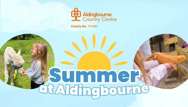 Summer at Aldingbourne