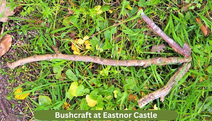 Bushcraft at Eastnor Castle