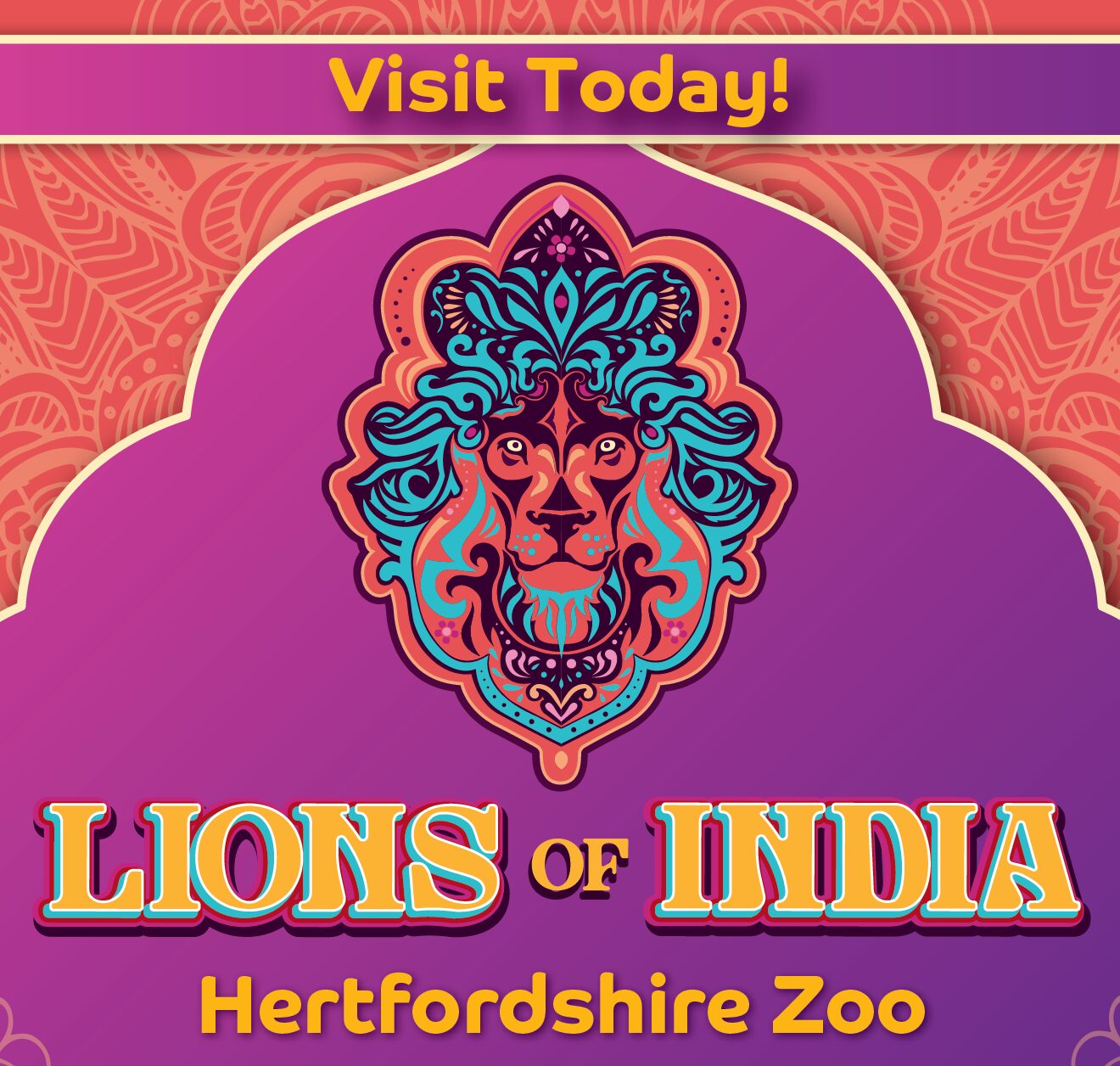 Hertfordshire Zoo this Summer