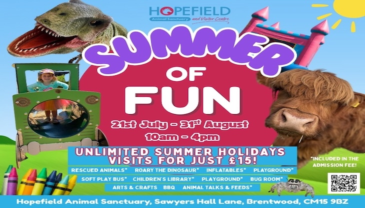 Hopefield Summer Of Fun