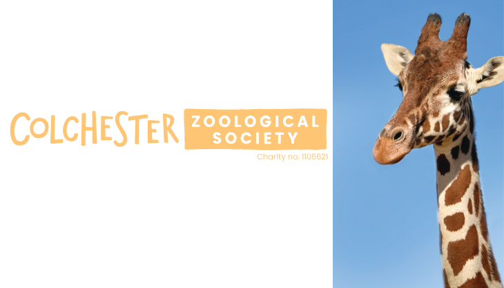 Colchester Zoo – Sizzling Summer