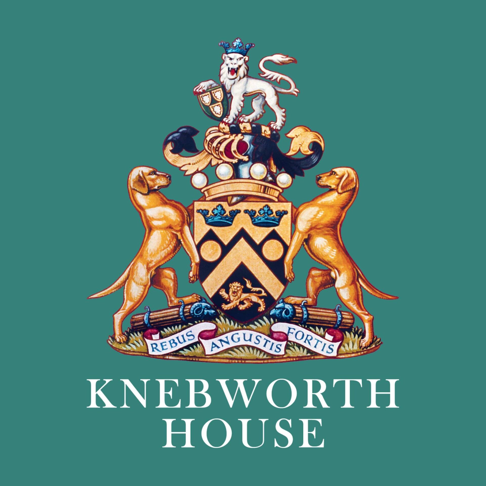 Adventure Cinema @ Knebworth House