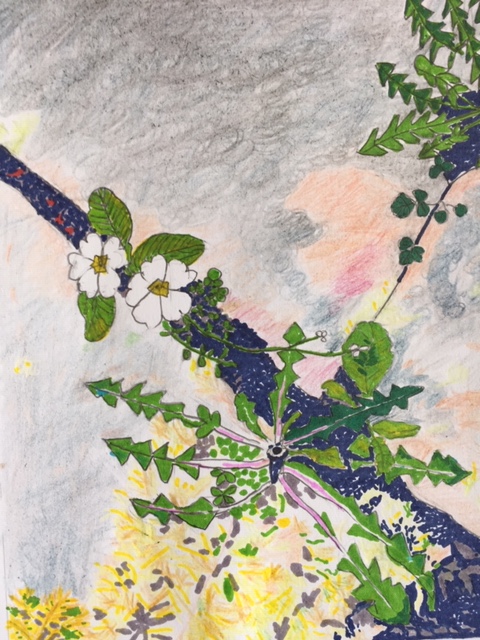 Summer Arts & Crafts family workshop: Make a tagboard Sunflower and hand drawn cards!