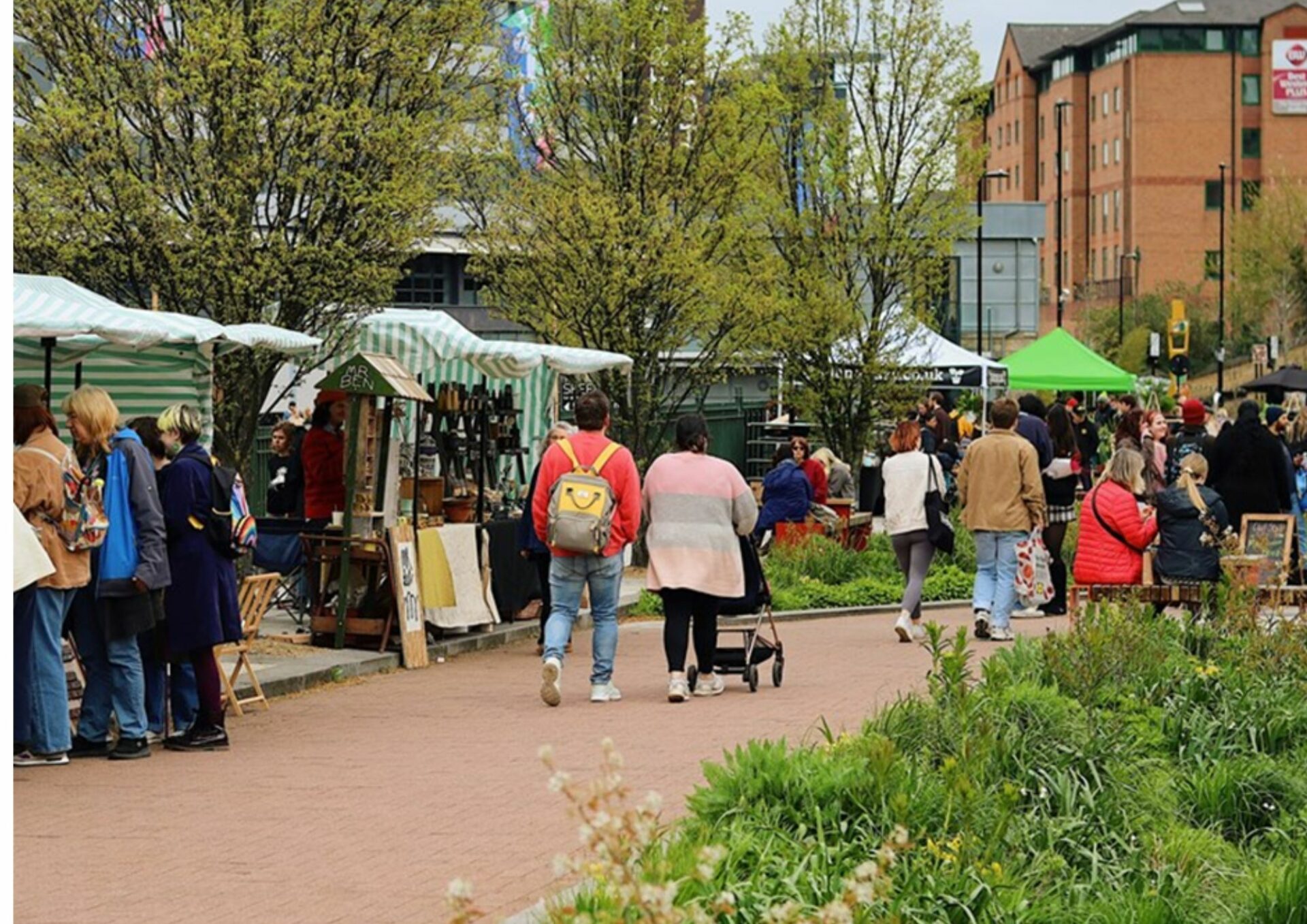 Pollen Market: July 2025