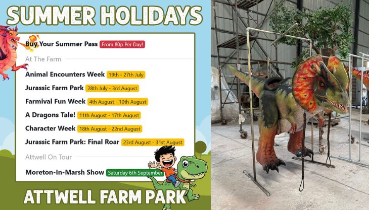 Summer Fun at Attwell Farm