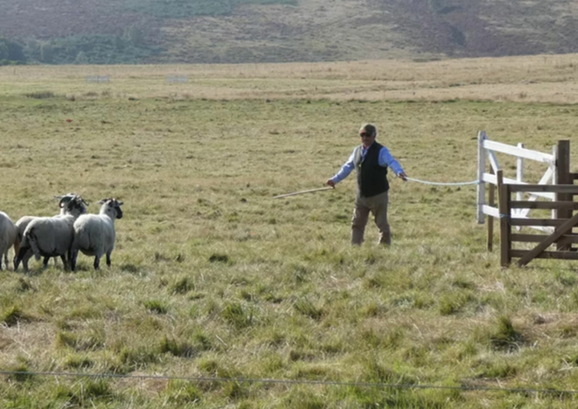LongShaw Sheep Dog Trials 2025