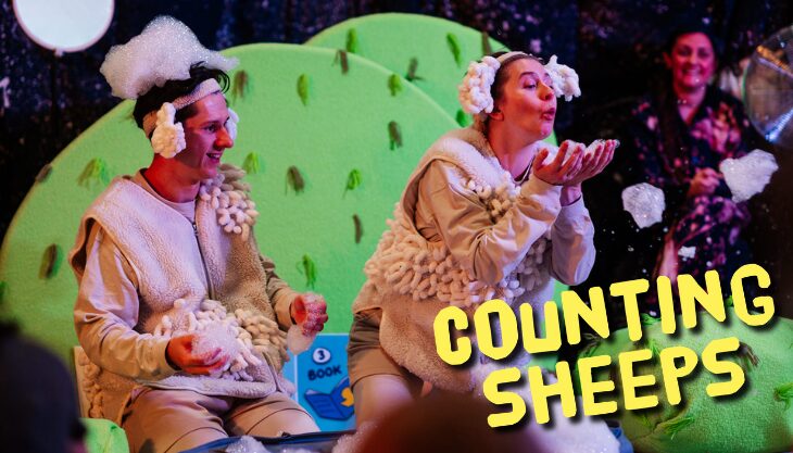 Counting Sheeps