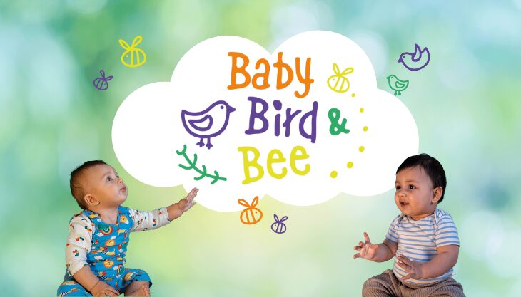 Baby, Bird and Bee