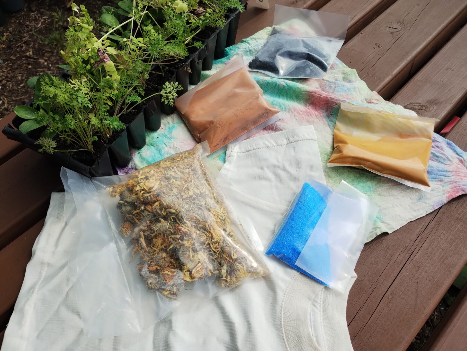 Cosy Craft Autumn – Natural Dye Workshop