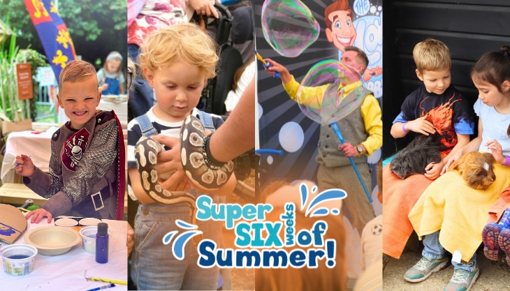 Super Six Weeks Of Summer