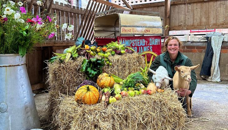 Harvest Festival, Tatton Park