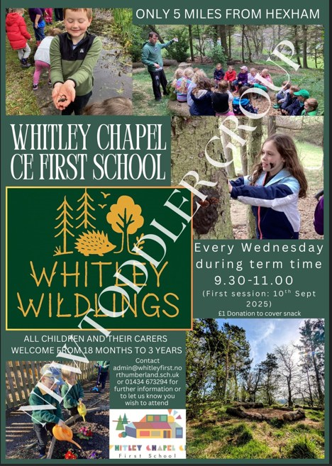 Whitley Wildlings – New Toddler Group near Hexham