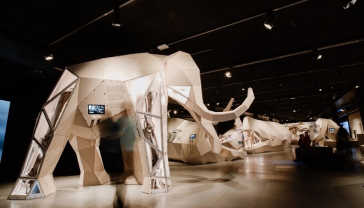 GIANTS at Birmingham Museum and Art Gallery