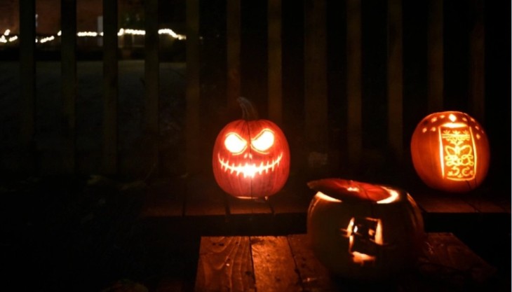 Pumpkins on the Pond at Sarehole Mill