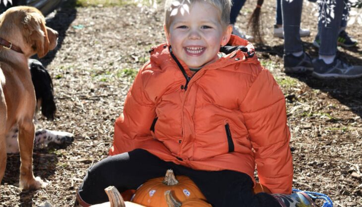 Pumpkin Farm at Van Arnhem Nursery near Godalming