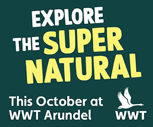 Super Natural Half Term