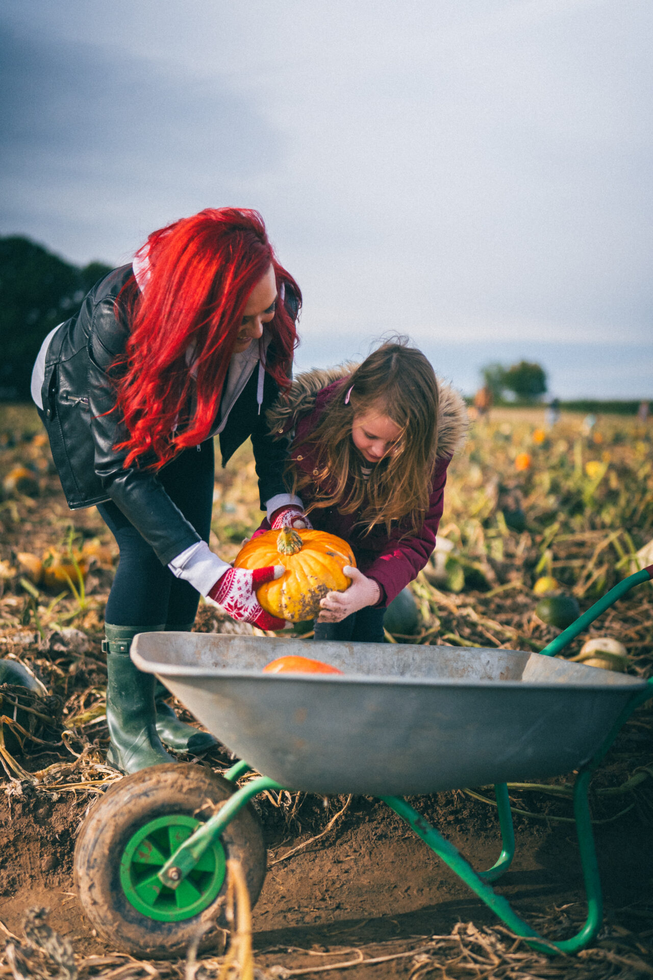 Yorkshire Pumpkins – PYO