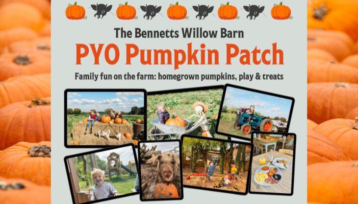 Pumpkin Picking at Bennetts Willow Barn