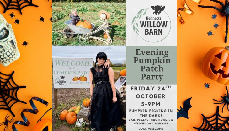 Evening Pumpkin Patch Party at Bennetts Willow Barn