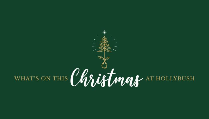 Christmas at Hollybush Garden Centre & Bee Wild Soft Play