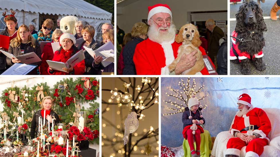 Hearing Dogs Christmas Market 2025