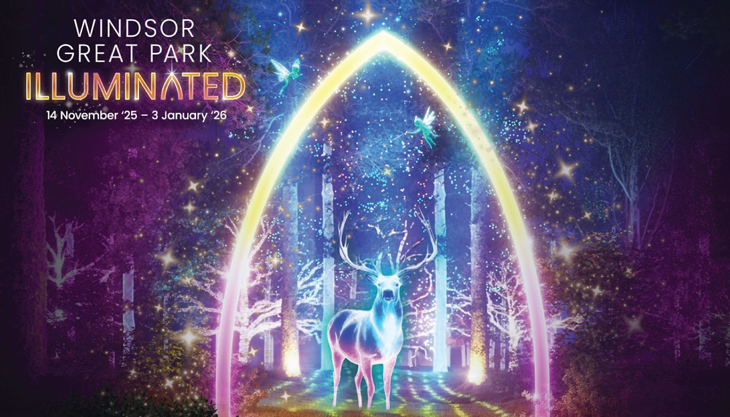 Windsor Great Park Illuminated