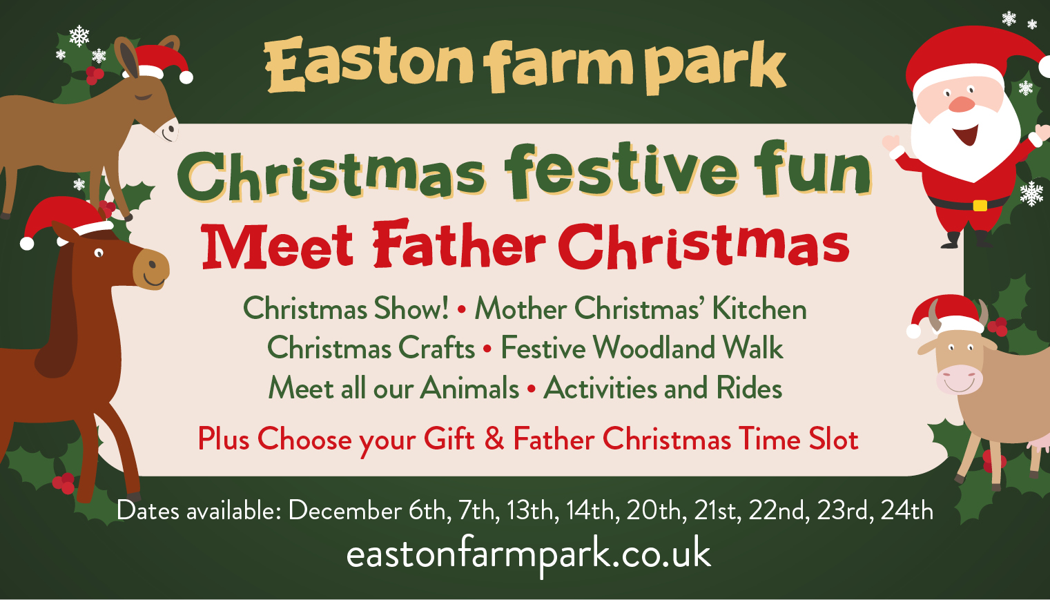 Christmas Festive Fun