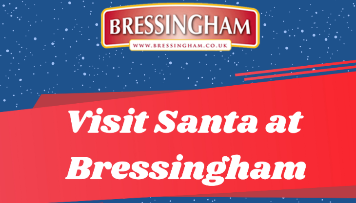 Bressingham at Christmas