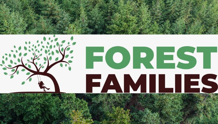 Forest Family fun this Christmas