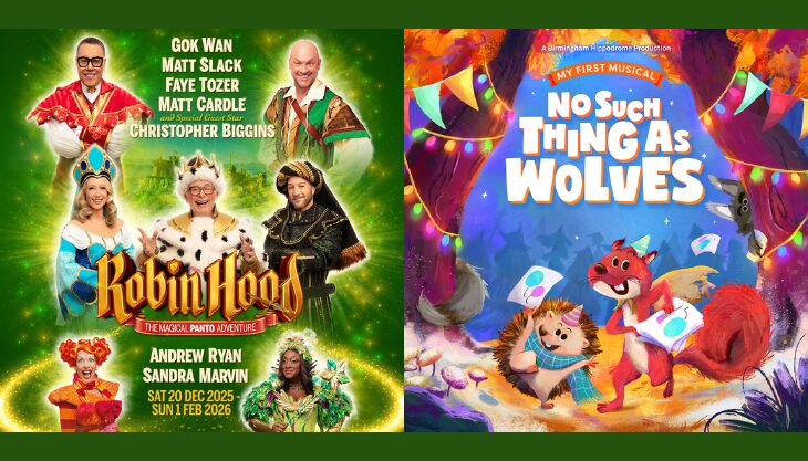 birmingham hippodrome pantomime christmas shows