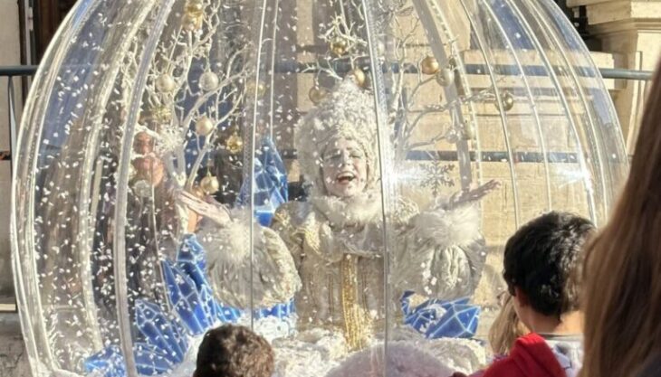 Solihull Christmas Fun Day