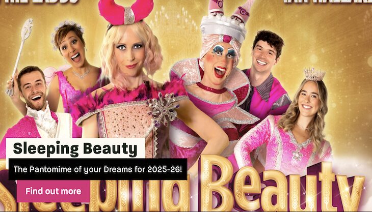 Sleeping Beauty Panto