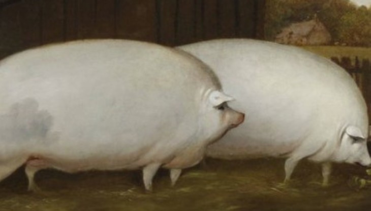 Folk Art Trail at Compton Verney