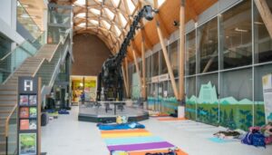 doze under dippy herbert coventry