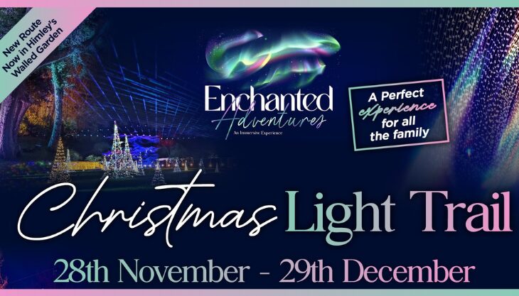 Himley Hall Christmas Light Trail