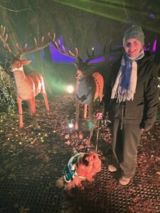 Photo of reviewer and her dog at Enchanted Adventures Christmas Light Trail at Himley Hall & Park 1