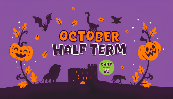 October Half-Term at Dudley Zoo & Castle