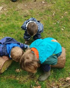 The World Outside Kindergarten - 3 little kids looking for bugs under a log