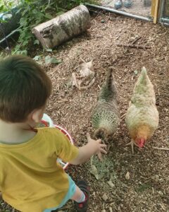 The World Outside Kindergarten - little boy feeding chickens