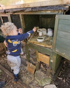 The World Outside Kindergarten - small child feeding guinea pigs