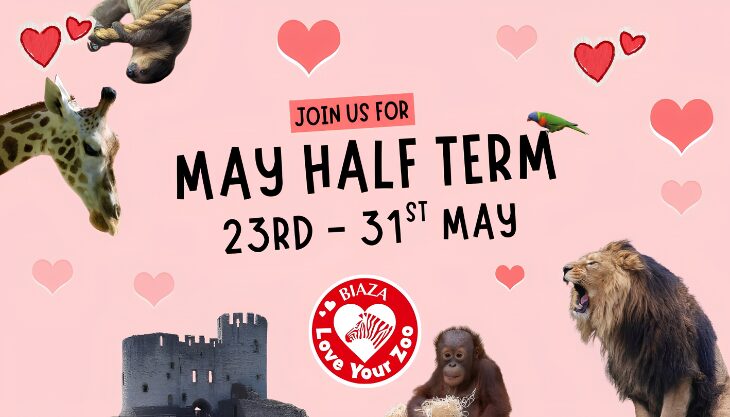 May half term at Dudley Zoo