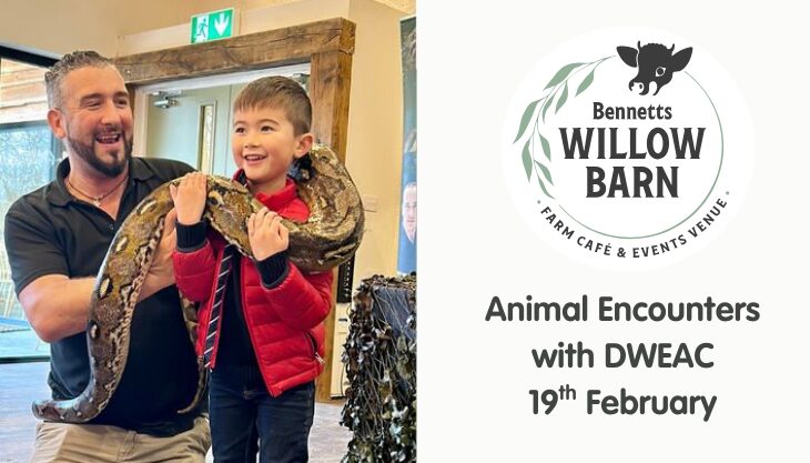 Animal Encounters with DWAEC at Bennetts Willow Barn