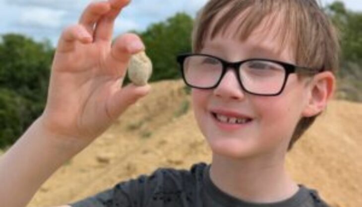 Family Fossil Hunt at Cross Hands Quarry