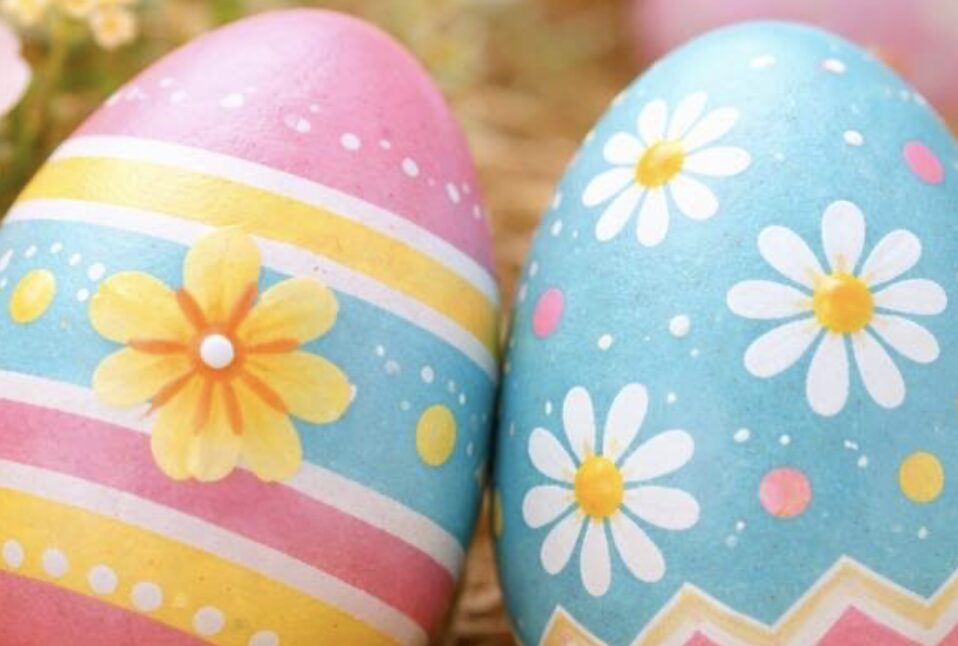 Egg-citing Easter Adventure – Birdworld