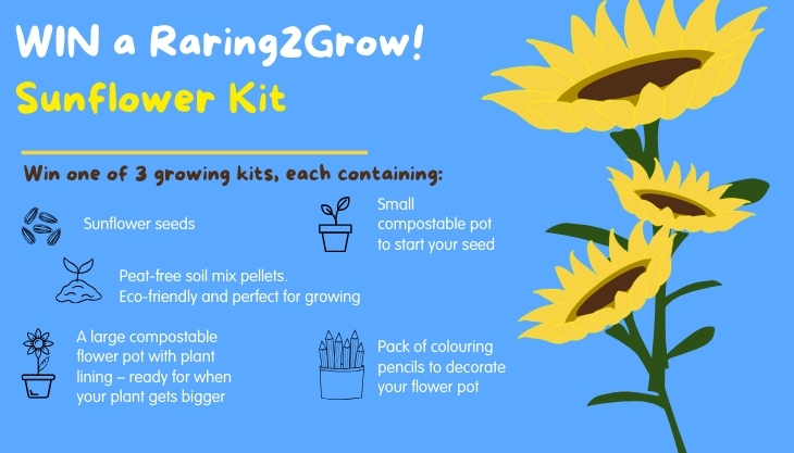 Win a sunflower growing kit